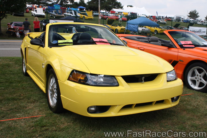 MUSTANG MUSTANG